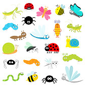 Insect icon set. Mantis Lady bug Mosquito Butterfly Bee Grasshopper Beetle Caterpillar Spider Cockroach Fly Snail Dragonfly Ant Lady bird Worm. Cute cartoon kawaii funny doodle character. Flat design.