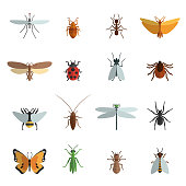 insects icons flat