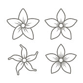 Free Jasmine Flower Clipart and Vector Graphics - Clipart.me