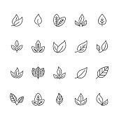 Leaf flat line icons. Plant, tree leaves illustrations. Thin signs of organic food, natural material, bio ingredient, eco concept. Pixel perfect 64x64. Editable Strokes