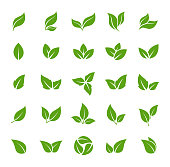 Leaves Icon - Vector Stock Illustration. Leaf Shapes Collection