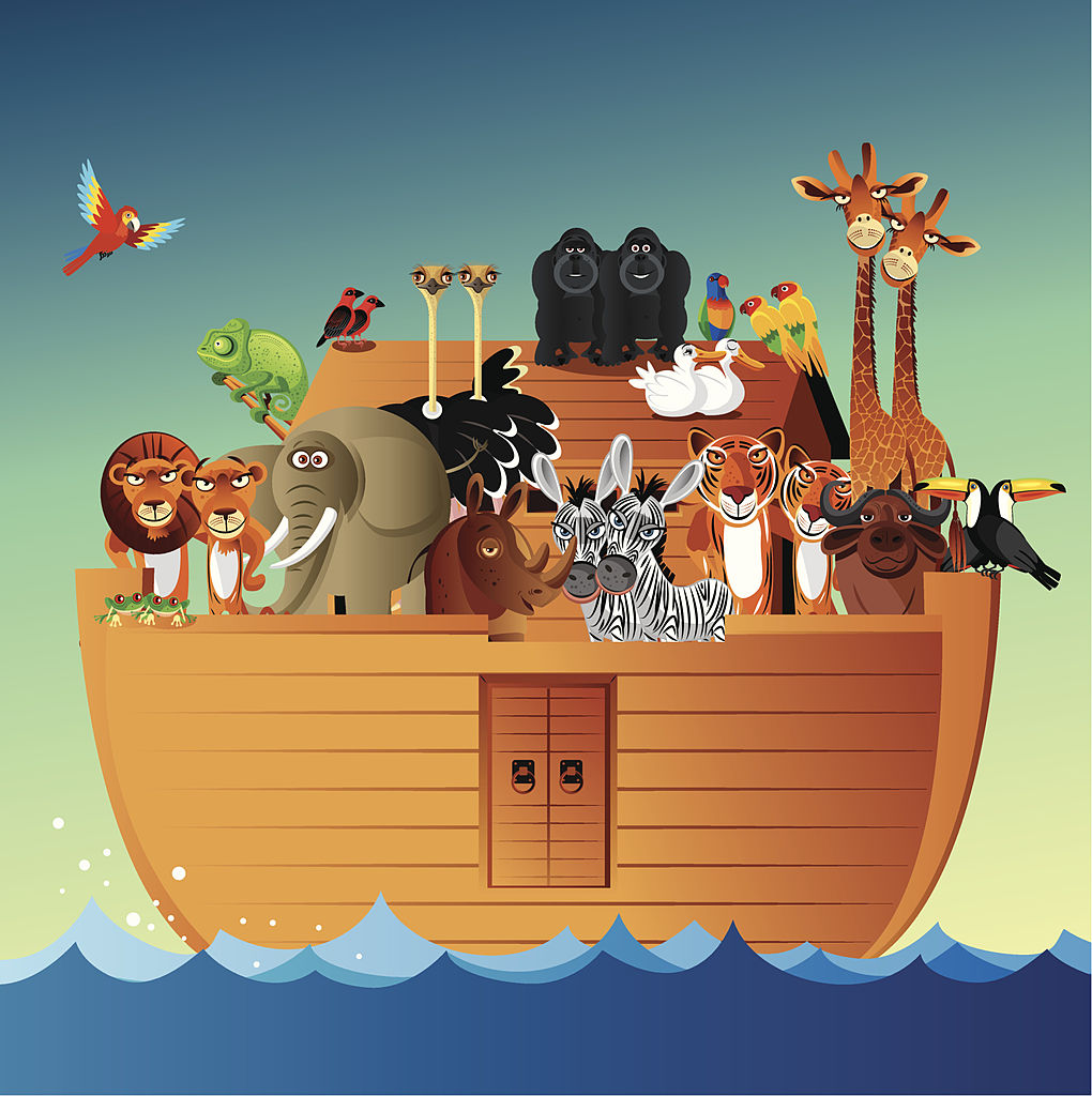Kids Noah's Ark