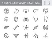 Organs line icons. Vector illustration include icon - muscle, liver, stomach, kidney, urinary, eyeball, bone, lung, neuron outline pictogram for human anatomy. 64x64 Pixel Perfect, Editable Stroke