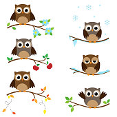 Owls on branches