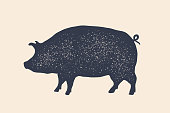 Pig, pork. Vintage label, retro print, poster for Butchery
