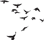 Pigeons Flying Silhouettes 4