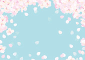 Pink Cherry blossom vector Illustration