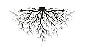 Root of the tree. Black silhouette. Vector illustration.