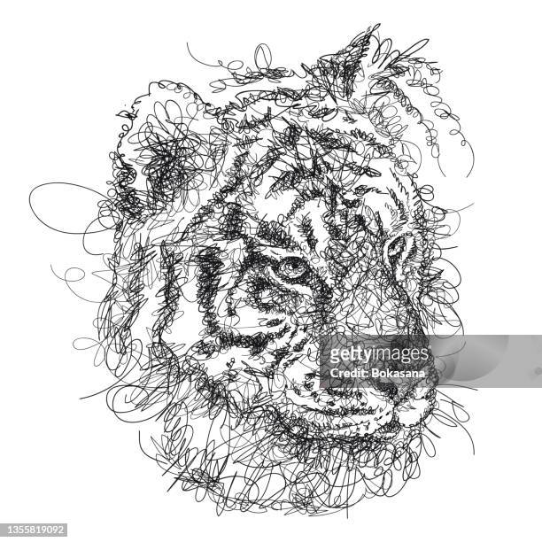 vector scribble scrawl siberian amur tiger