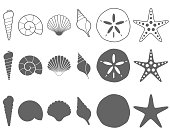 Sea Shells Vector Illustration Set on White