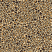 Seamless pattern of leopard skin