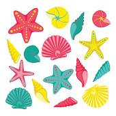 Seashells set. design for holiday greeting card and invitation of seasonal summer holidays, summer beach parties, tourism and travel