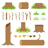 Set of forest tree stumps, logs, sticks, branches, grasses and mushrooms. Vector illustration