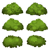 Set of green bushes vector