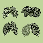 set hand drawn plant leaves vector