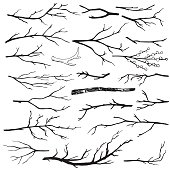 Set of hand-drawn wood branches