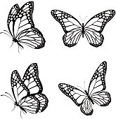 Set of Silhouette Butterflies Isolated for Spring