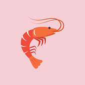 Shrimp in flat style