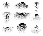 Silhouette Black Tree Roots Various Types Shapes Set. Vector