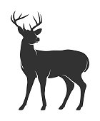 Silhouette of deer with antlers on white background