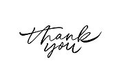 Thank you hand drawn vector modern calligraphy. Thank you handwritten ink illustration.