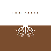 The roots graphic design template vector illustration