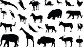 Various animals silhouette