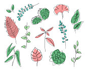 Vector branches and leaves. Continuous line leaves print tropical palm, eucalyptus, monstera, succulent, house plants.
