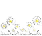 Free download of Daisy vector graphics and illustrations