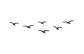 Vector hand drawn doodle sketch flying seagull birds flock silhouette