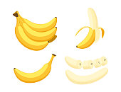 Vector illustration of set fresh banana isolated on white background