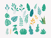 Vector set of flat illustrations of plants, trees, leaves