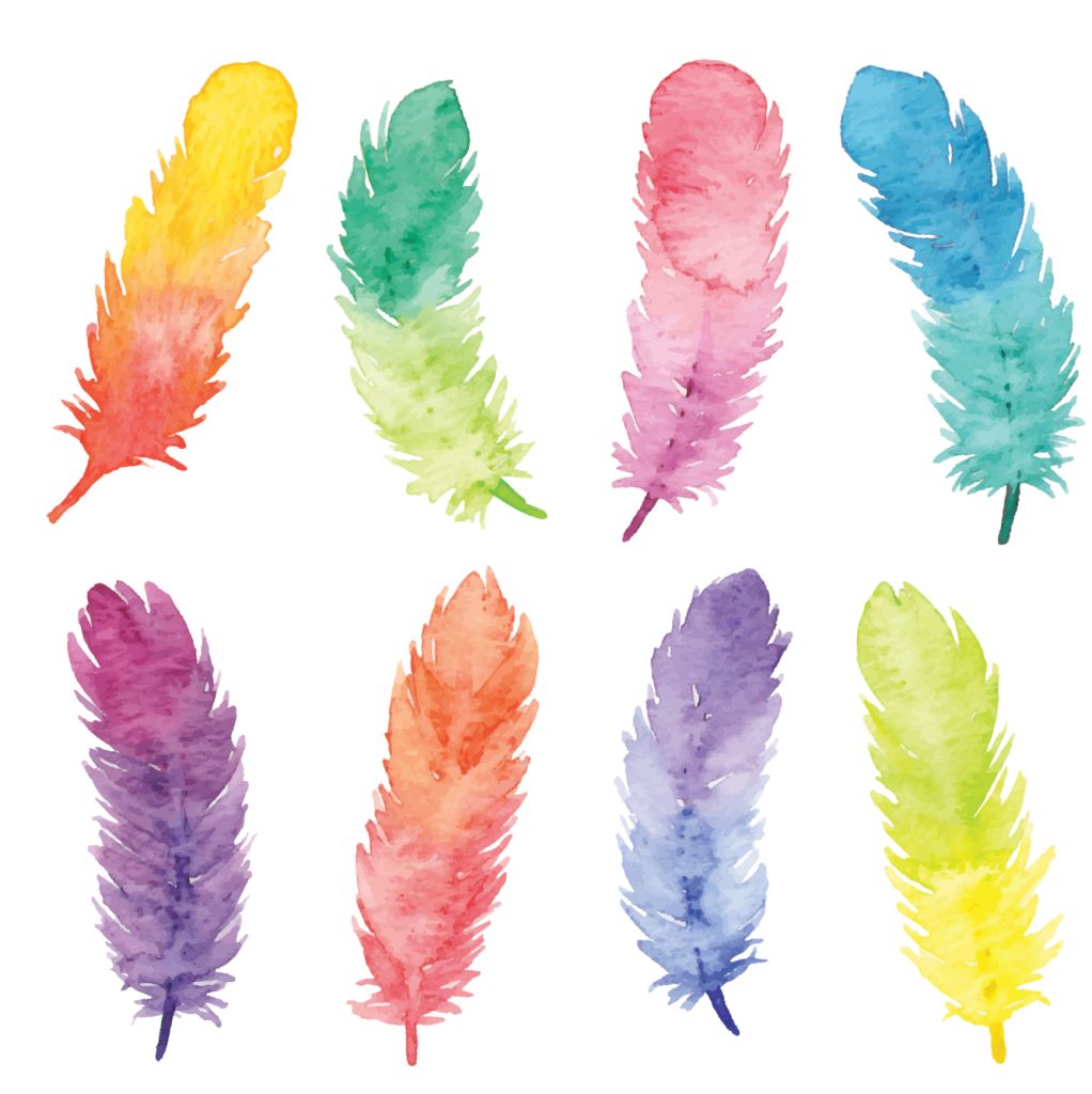 Colourful Watercolour Feathers