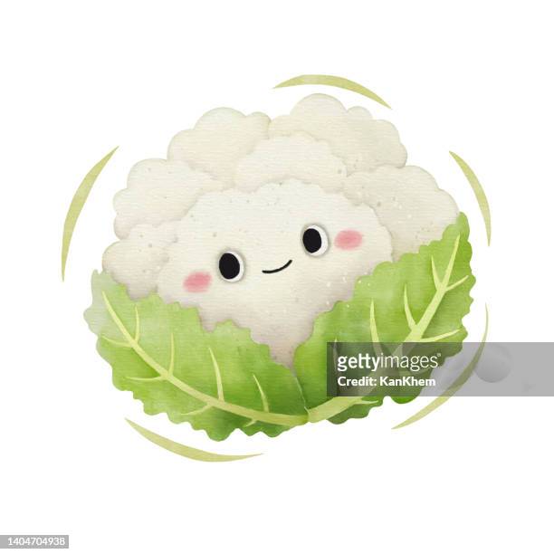 watercolor cute cauliflower cartoon character vector