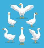 White Goose Poses Cartoon Vector Illustration