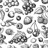 Wild berry seamless pattern drawing. Hand drawn vintage vector background. Summer fruit