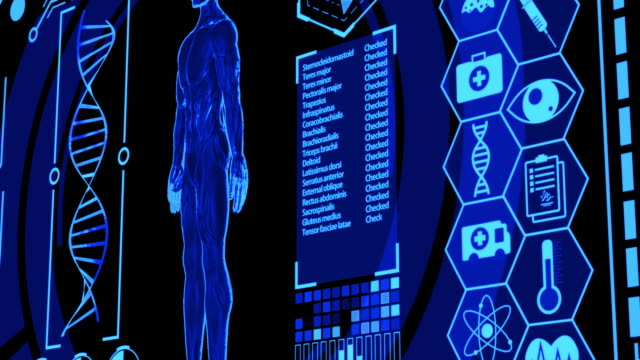 3D Human Model Rotating in Medical Futuristic HUD Display Screen including Icon sets, Brain Scan, Heart Wave and more with Blue Color (Camera Panning)